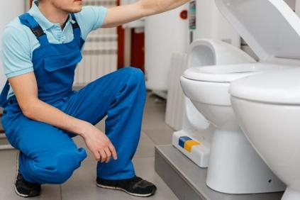 plumber inspecting toilets